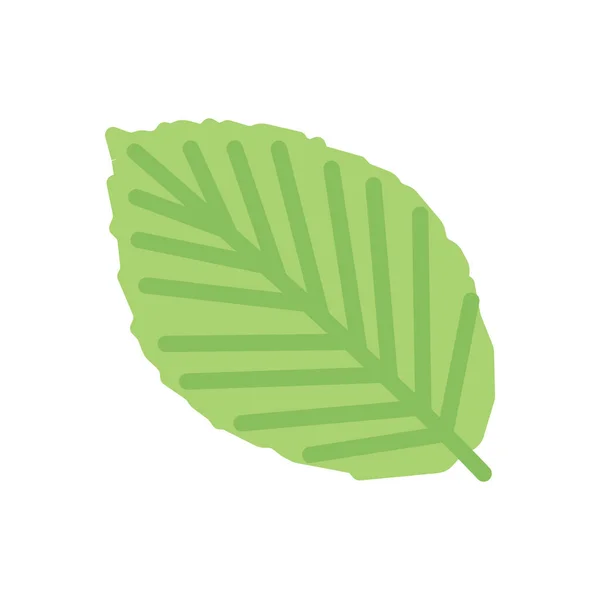Leaf Vector Illustration Transparent Background Premium Quality Symbols Stroke Icon — Stock vektor