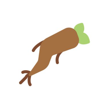 ginseng vector illustration on a transparent background.Premium quality symbols.Stroke icon for concept and graphic design. 