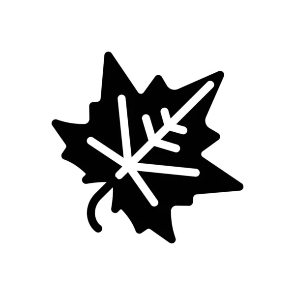 Maple Vector Illustration Transparent Background Premium Quality Symbols Glyphs Icon — Vettoriale Stock