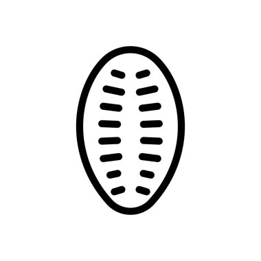 kiwi vector illustration on a transparent background.Premium quality symbols.Thin line icon for concept and graphic design. 