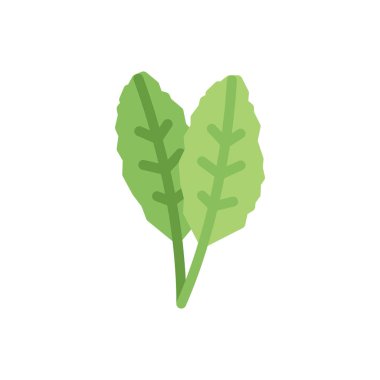 rhubarb vector illustration on a transparent background.Premium quality symbols.Stroke icon for concept and graphic design.