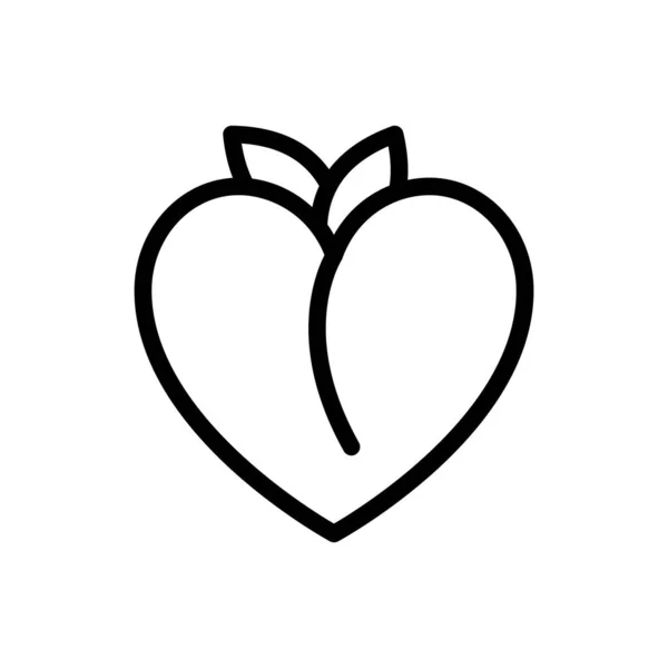Apricot Vector Illustration Transparent Background Premium Quality Symbols Thin Line —  Vetores de Stock