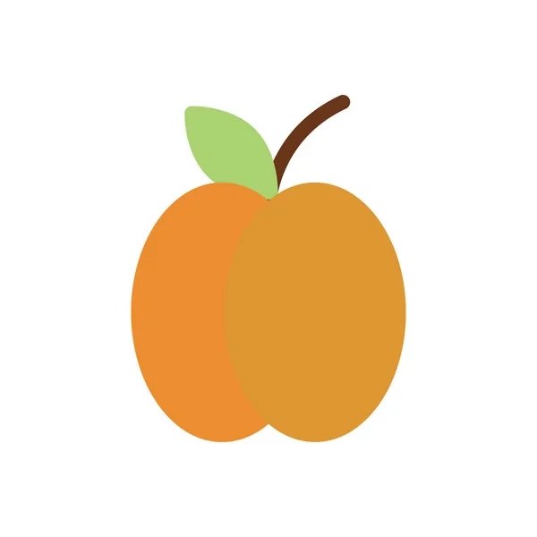 Apricot Vector Illustration Transparent Background Premium Quality Symbols Stroke Icon — Stock vektor