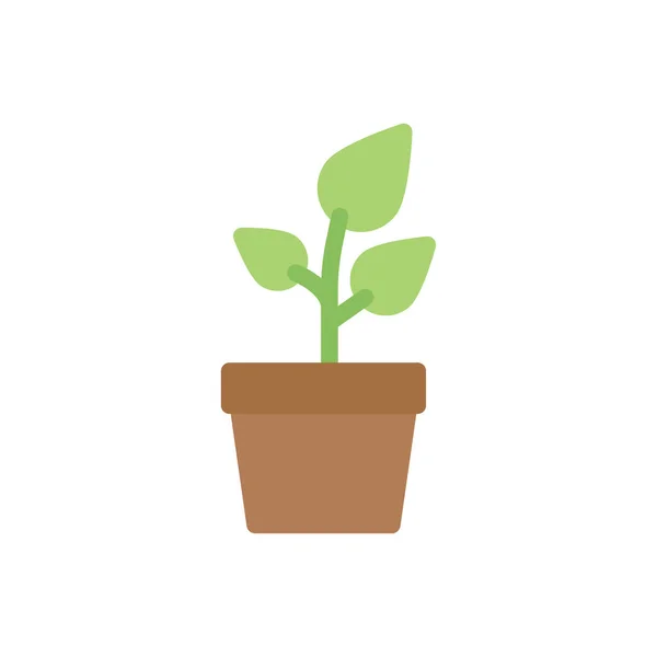 Ilustración Vectores Plantas Sobre Fondo Transparente Símbolos Calidad Premium Icono — Vector de stock