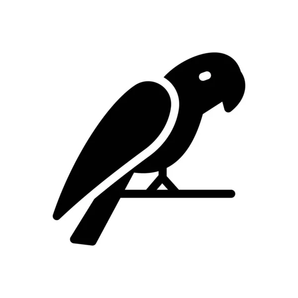 Parrot Vector Illustration Transparent Background Premium Quality Symbols Glyphs Icon — Stock vektor