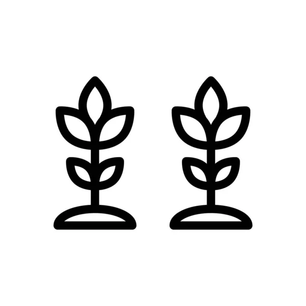 Рослина Векторні Ілюстрації Прозорому Фоні Символи Якості Премій Піктограма Тонкої — стоковий вектор