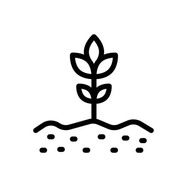 Ilustración Vectores Plantas Sobre Fondo Transparente Símbolos Calidad Premium Icono — Vector de stock