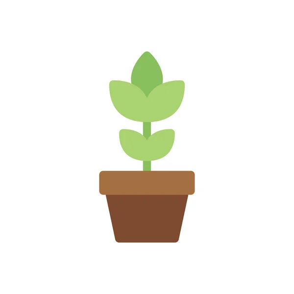 Ilustración Vectores Plantas Sobre Fondo Transparente Símbolos Calidad Premium Icono — Vector de stock