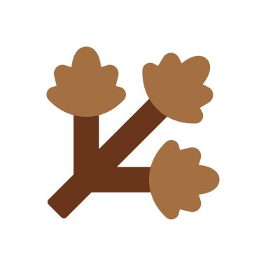 Saydam bir arkaplan üzerinde kişniş vektör illüstrasyonu. Konsept ve grafik tasarımı için premium kalite simgeleri.. 