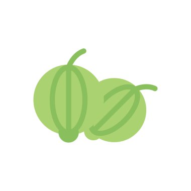 Şeffaf bir arkaplan üzerinde kişniş vektör illüstrasyonu. Konsept ve grafik tasarımı için premium kalite simgeleri..