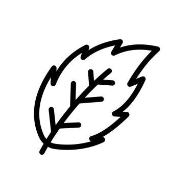 basil vector illustration on a transparent background.Premium quality symbols.Thin line icon for concept and graphic design. 