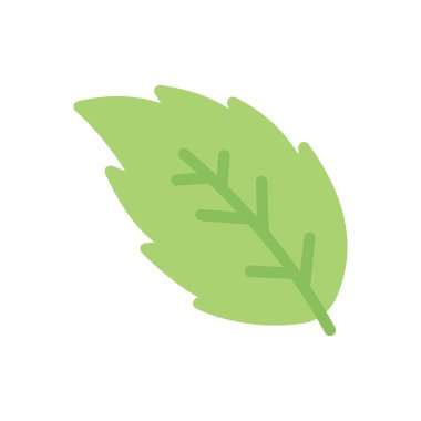 Saydam bir arkaplan üzerinde yaprak vektör çizimi. Konsept ve grafik tasarım için birinci sınıf kalite simgeler.. 