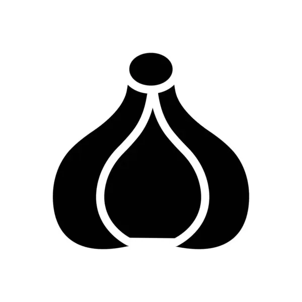 Garlic Vector Illustration Transparent Background Premium Quality Symbols Glyphs Icon — Stock Vector