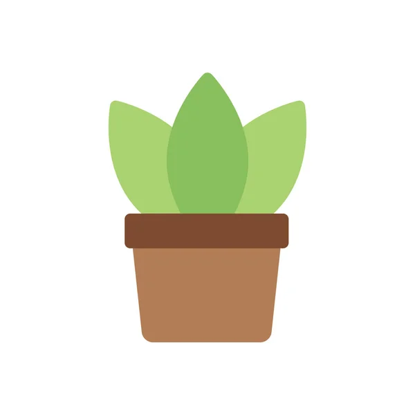 Ilustración Vectores Plantas Sobre Fondo Transparente Símbolos Calidad Premium Icono — Vector de stock