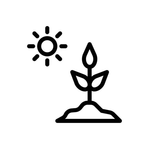 Ilustrace Vektoru Slunce Průhledném Pozadí Symboly Prvotřídní Kvality Ikona Tenké — Stockový vektor