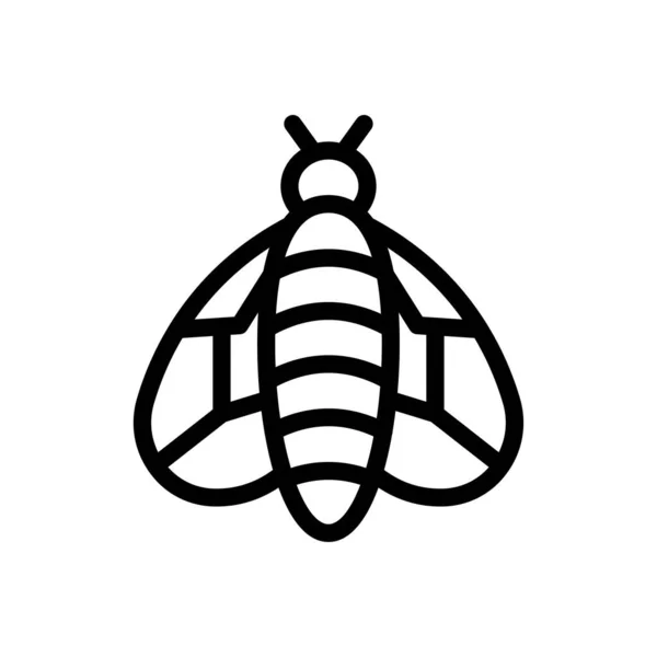 Butterfly Vector Illustration Transparent Background Premium Quality Symbols Thin Line — Stok Vektör