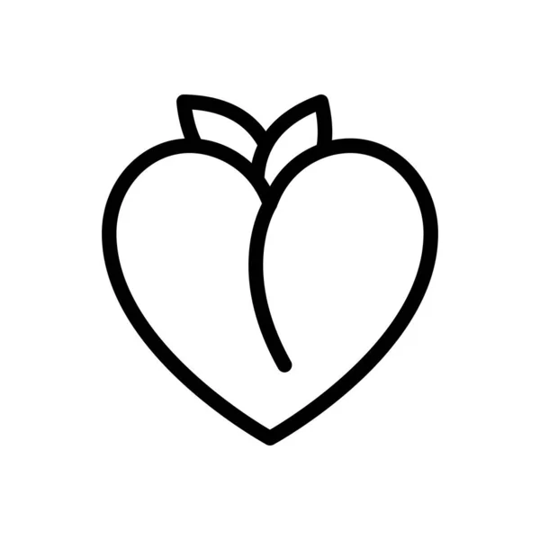 Apricot Vector Illustration Transparent Background Premium Quality Symbols Thin Line —  Vetores de Stock