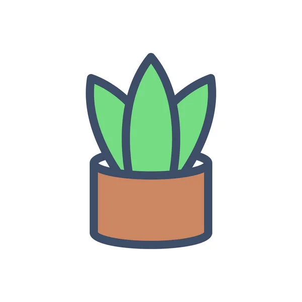 Cactus Vector Illustration Transparent Background Premium Quality Symbols Stroke Icon — Vector de stock