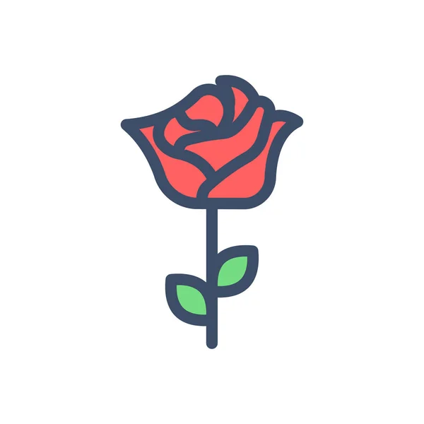 Rose Vector Illustration Transparent Background Premium Quality Symbols Stroke Icon — Stock Vector