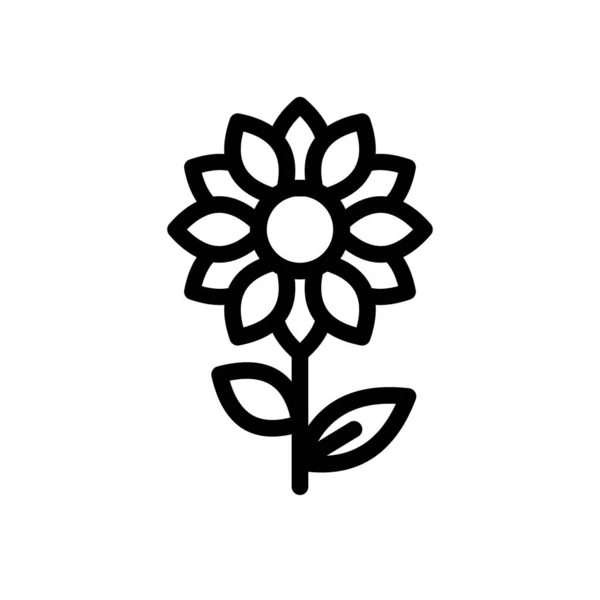 Sunflower Vector Illustration Transparent Background Premium Quality Symbols Thin Line — Stockvektor