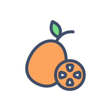 Şeffaf bir arkaplan üzerinde turuncu vektör çizimi. Konsept ve grafik tasarım için birinci sınıf kalite simgeler.. 