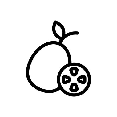 kiwi vector illustration on a transparent background.Premium quality symbols.Thin line icon for concept and graphic design. 