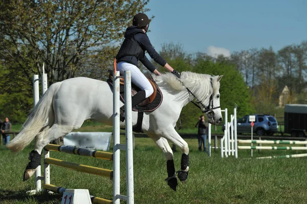 show jumping on a horse show