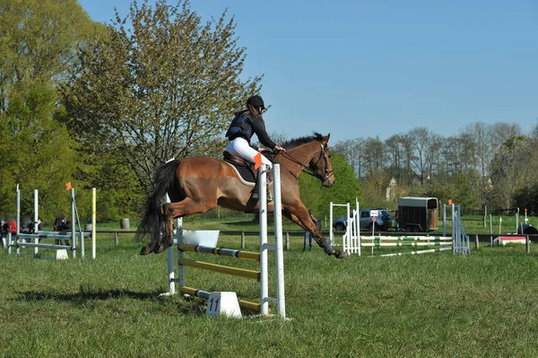 show jumping on a horse show