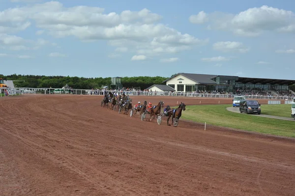 horse race in sulky on track un hippodrome
