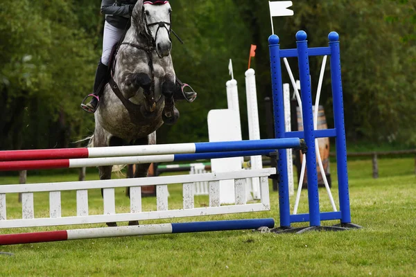 show jumping in  a horse show