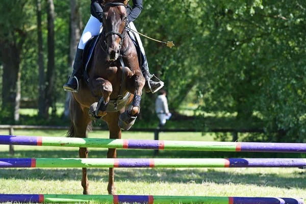 show jumping in a horse show