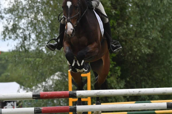 show jumping in a horse show