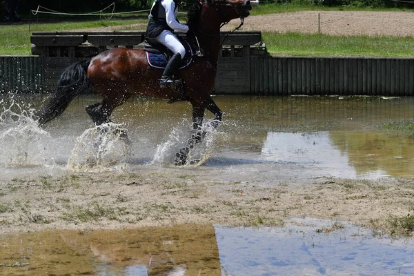 water show jumping in a horse show