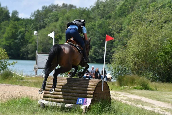 show jumping in a horse show