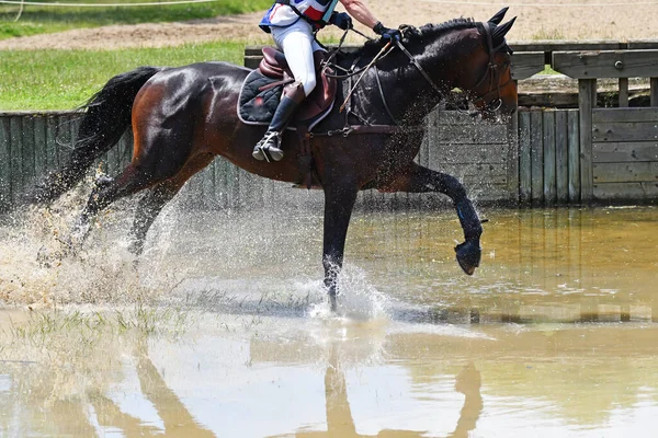 water show jumping in a horse show