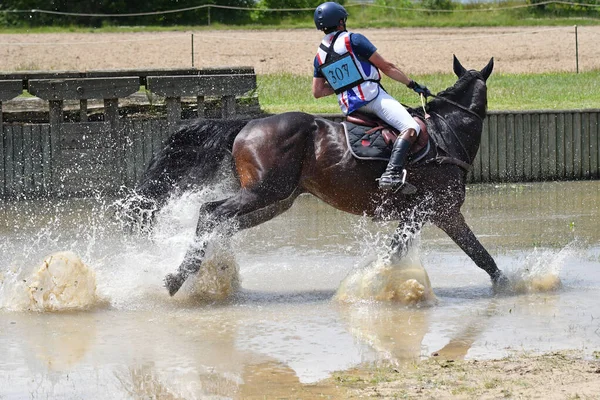 water show jumping in a horse show