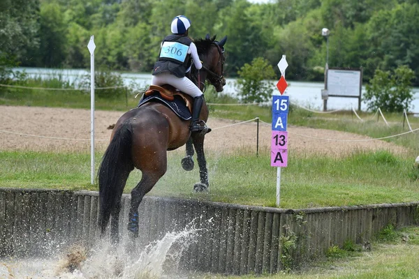 show jumping in a horse show