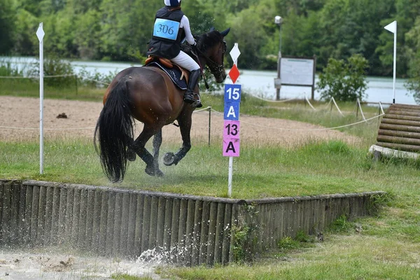 show jumping in a horse show