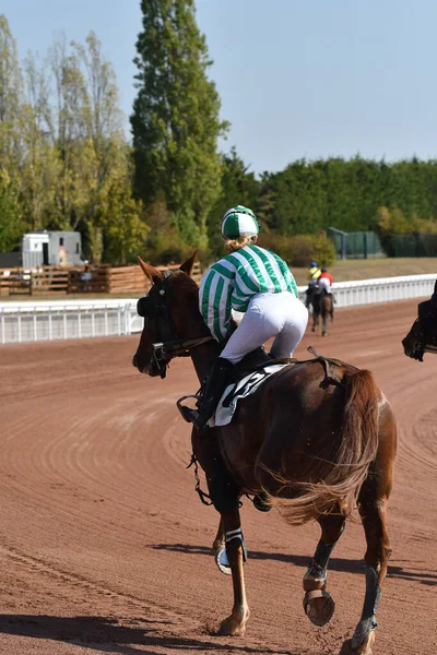 French horse racing Stock Photos, Royalty Free French horse racing ...