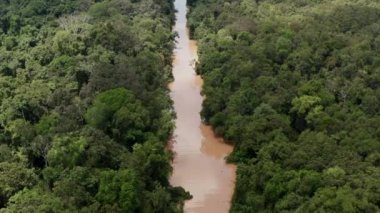 Borneo 'daki büyük yağmur ormanını geçen nehrin hava görüntüsü, uzaktaki dağları görebiliyoruz.