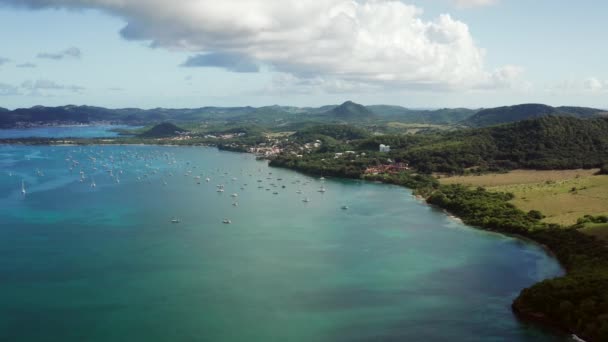Güzel Marin Körfezi Yüksekliğinde Seyahat Videosu Karayip Adasında Mavi Gökyüzü — Stok video