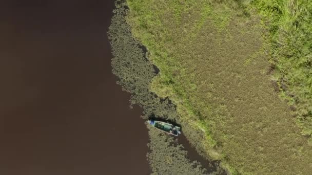 Beautiful Aerial View Oxbow Lake Borneo Jungle Malaysia Water Lily — Stockvideo