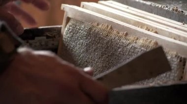 Arı kovanı kutusunu alıp ayrılan bir arı yetiştiricisiyle ilgili.