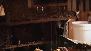 Sabah sabah arı kovanından bal damlıyor.