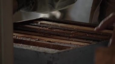 Arı yetiştiricisi arı kovanlarıyla çalışır ve gider.