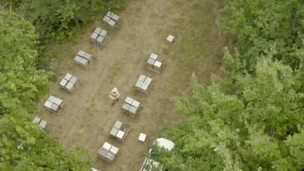 Spring Stunning Aerial Drone Shot Beekeeper Collecting Honey Beehives Hives — Vídeo de Stock