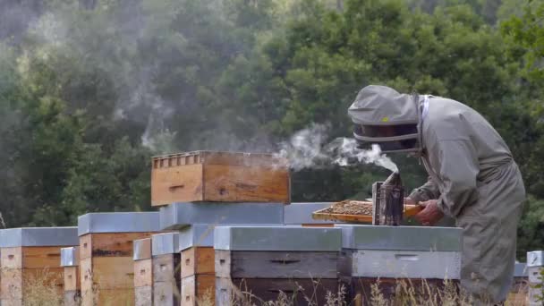 蜂房周围的养蜂人 蜜蜂在他身边飞舞 — 图库视频影像