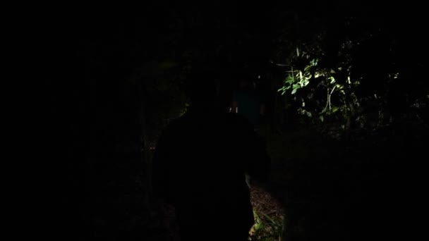 Night Scientists Search New Species Jungle Borneo Flashlights Illuminate Forest — Stockvideo