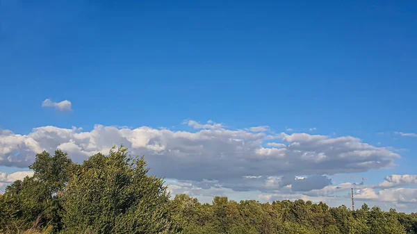 Céu Azul Com Nuvens Pássaros Voadores Ramos Verdes Natureza Verão — Fotografia de Stock