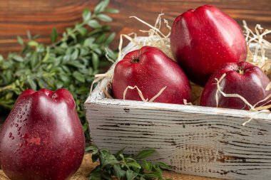 Koyu, ahşap arka planda kırmızı elmalar. Seçici odaklanma. Hasat. Sağlıklı yiyecekler. Boşluğu kopyala.